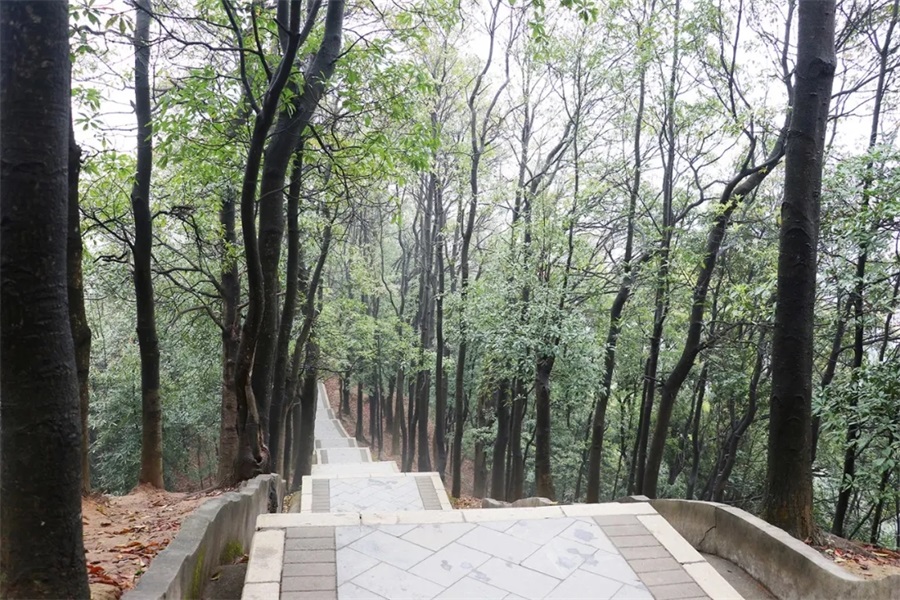 新年登山，步步高升 ‖ 亚洲午夜精品A片久久WWW慈禧-女人张开腿让男人添-亚洲国产欧美日韩人成-乱肉YIN荡系列合集TXT-天天撸日日夜夜开启2021奋斗之旅