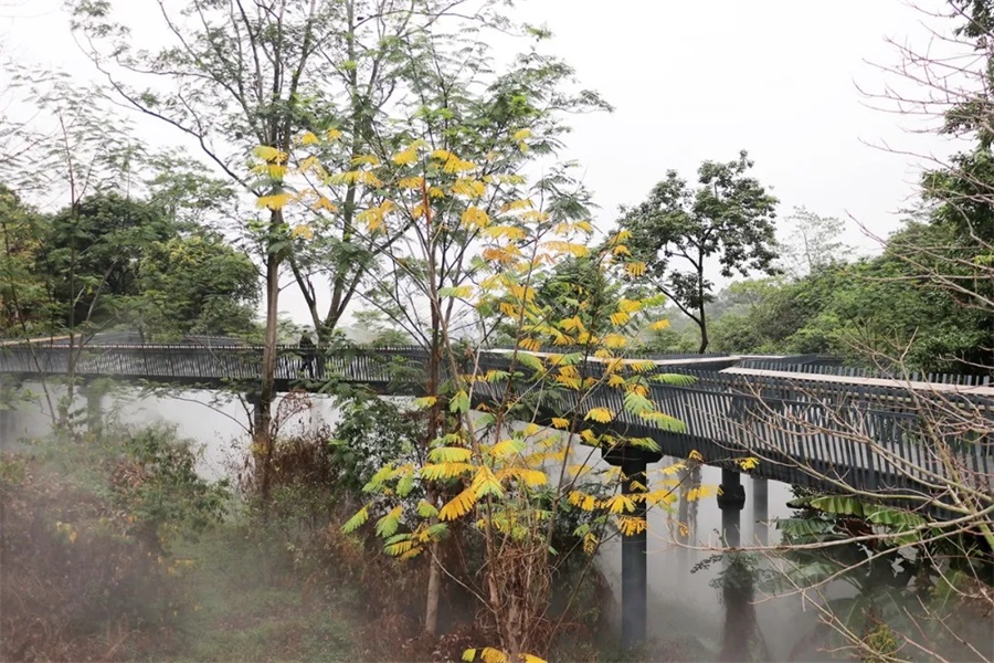 新年登山，步步高升 ‖ 亚洲午夜精品A片久久WWW慈禧-女人张开腿让男人添-亚洲国产欧美日韩人成-乱肉YIN荡系列合集TXT-天天撸日日夜夜开启2021奋斗之旅