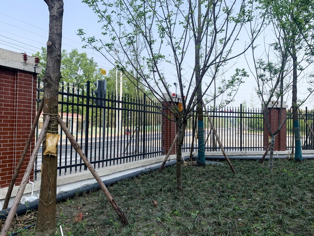 敲黑板！ 《中小学、幼儿园安全防范要求》有变化