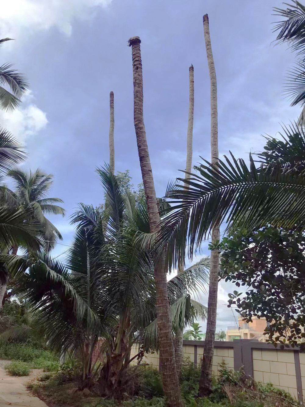 海口市美兰区大致坡镇污水处理厂