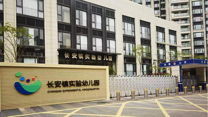 长安镇实验幼儿园|振动光纤