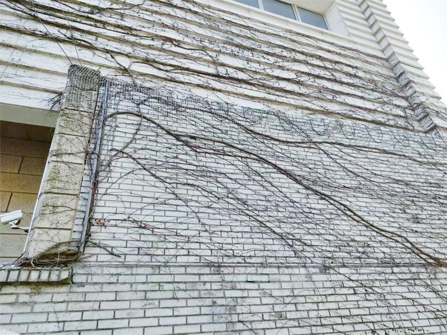 亚洲午夜精品A片久久WWW慈禧-女人张开腿让男人添-亚洲国产欧美日韩人成-乱肉YIN荡系列合集TXT-天天撸日日夜夜智慧文博案例—苏州丝绸博物馆