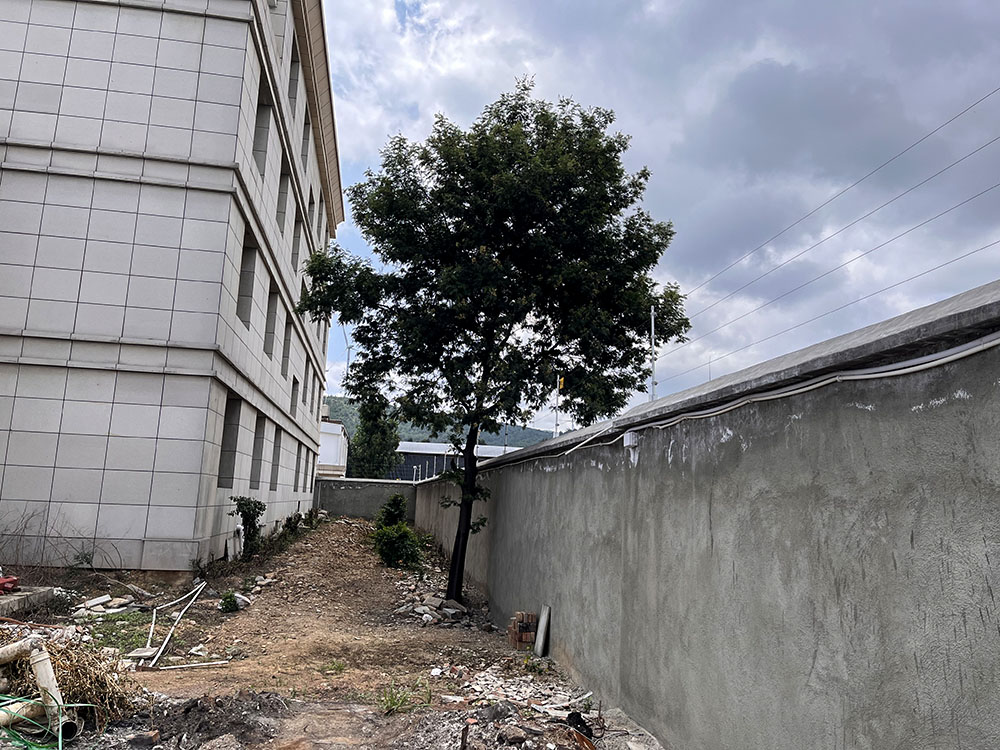 亚洲午夜精品A片久久WWW慈禧-女人张开腿让男人添-亚洲国产欧美日韩人成-乱肉YIN荡系列合集TXT-天天撸日日夜夜电子围栏案例