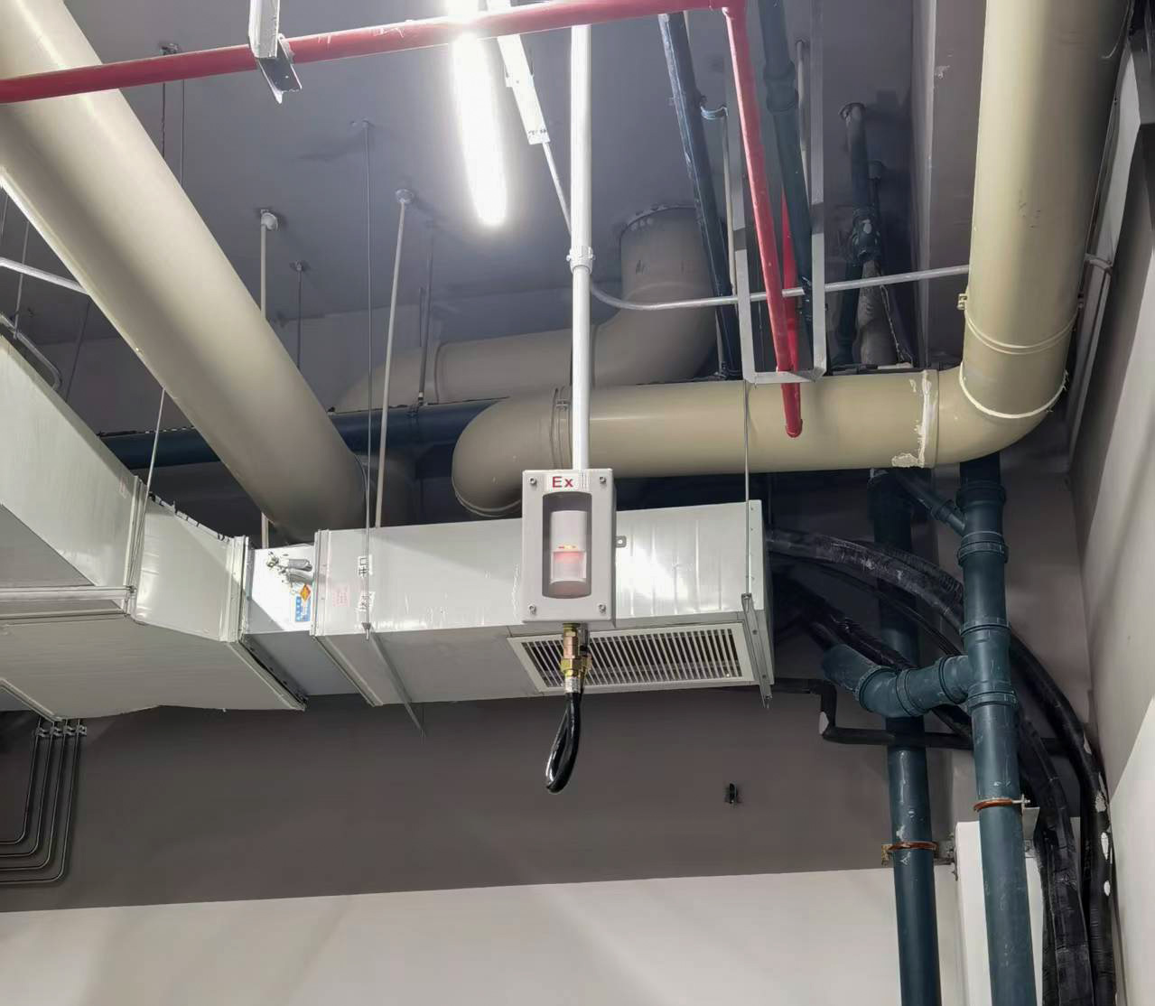 某实验室 | 防爆人体红外探测器