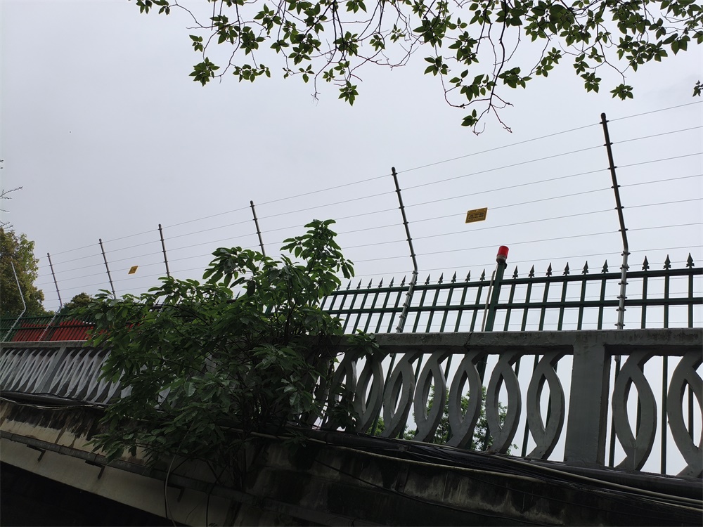 亚洲午夜精品A片久久WWW慈禧-女人张开腿让男人添-亚洲国产欧美日韩人成-乱肉YIN荡系列合集TXT-天天撸日日夜夜脉冲电子围栏在水利行业的应用